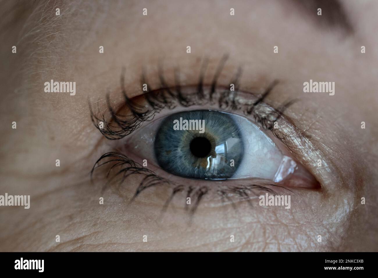 Ojo de mujer, azul Foto de stock