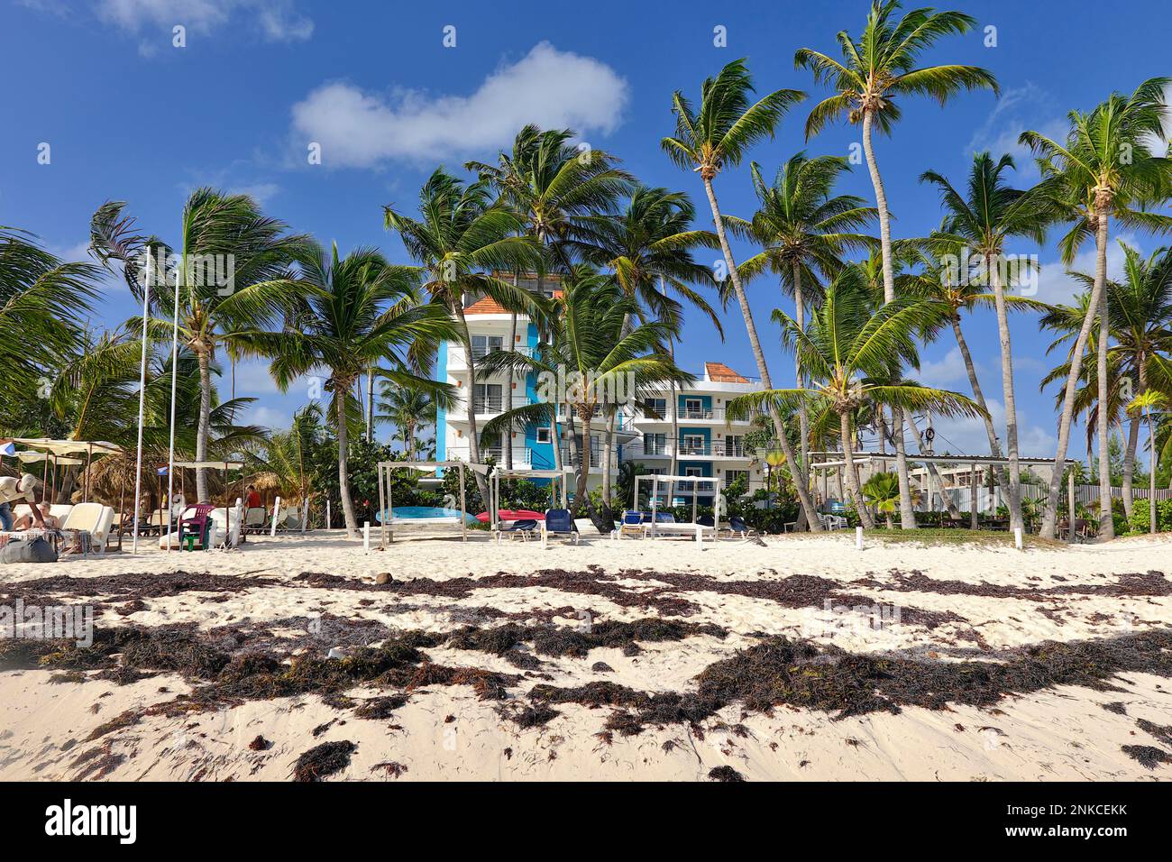 Playa contaminada con algas frente a un resort, Punta el Cortecito, Playa Bávaro, Punta Cana, República Dominicana, Caribe, América Central Foto de stock