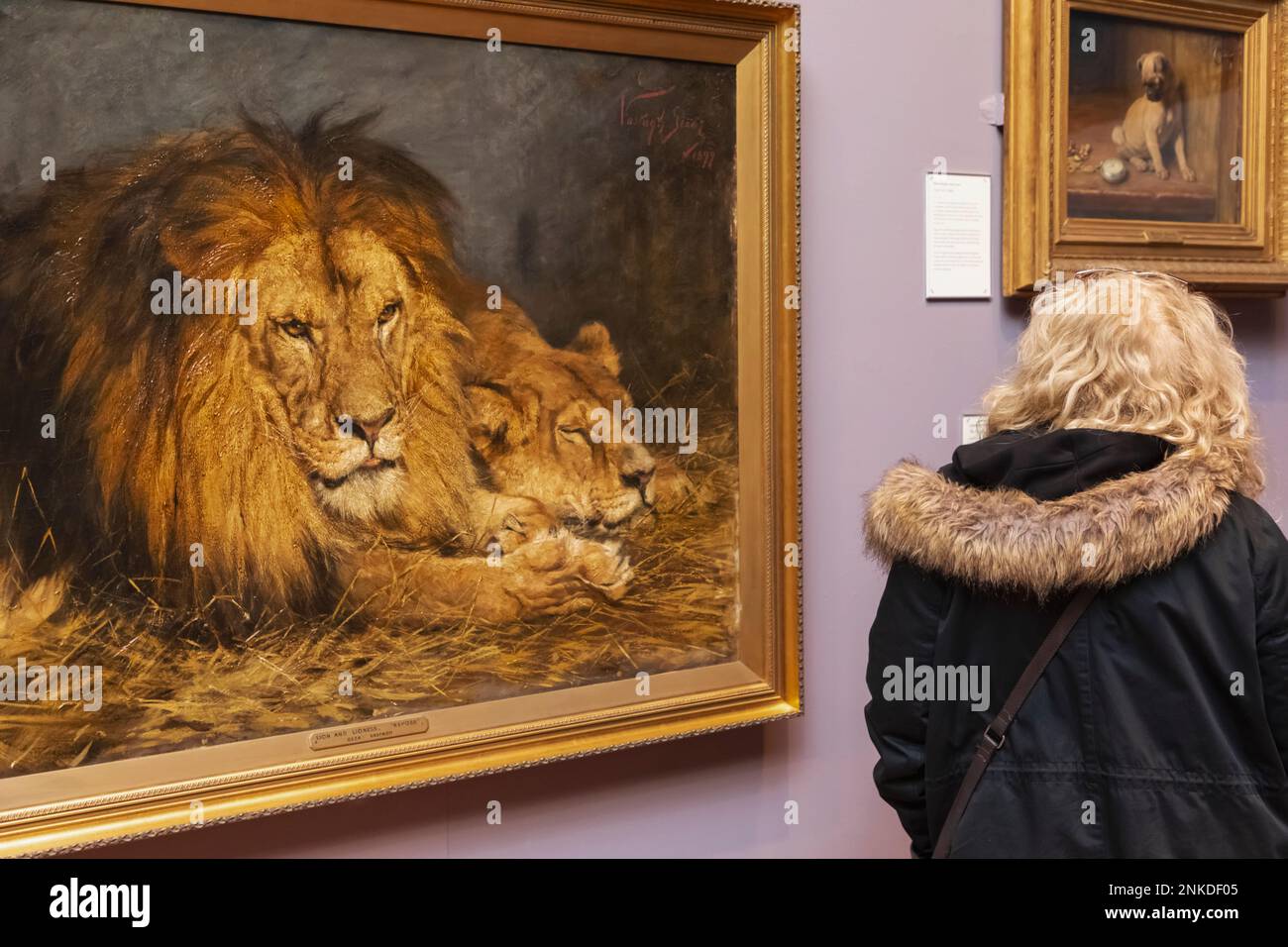 Inglaterra, Dorset, Bournemouth, Russell Cotes Art Gallery and Museum, Galería Visitante frente a la pintura titulada 'Repose of the British Lion' fechado en 189 Foto de stock