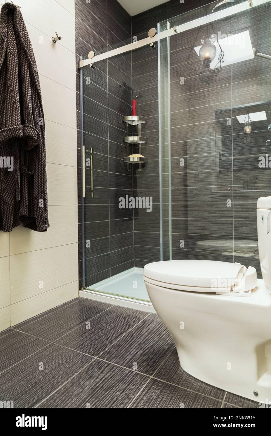 Toto wc y ducha de vidrio en suite con azulejos de cerámica negro y gris dentro de la casa contemporánea. Foto de stock