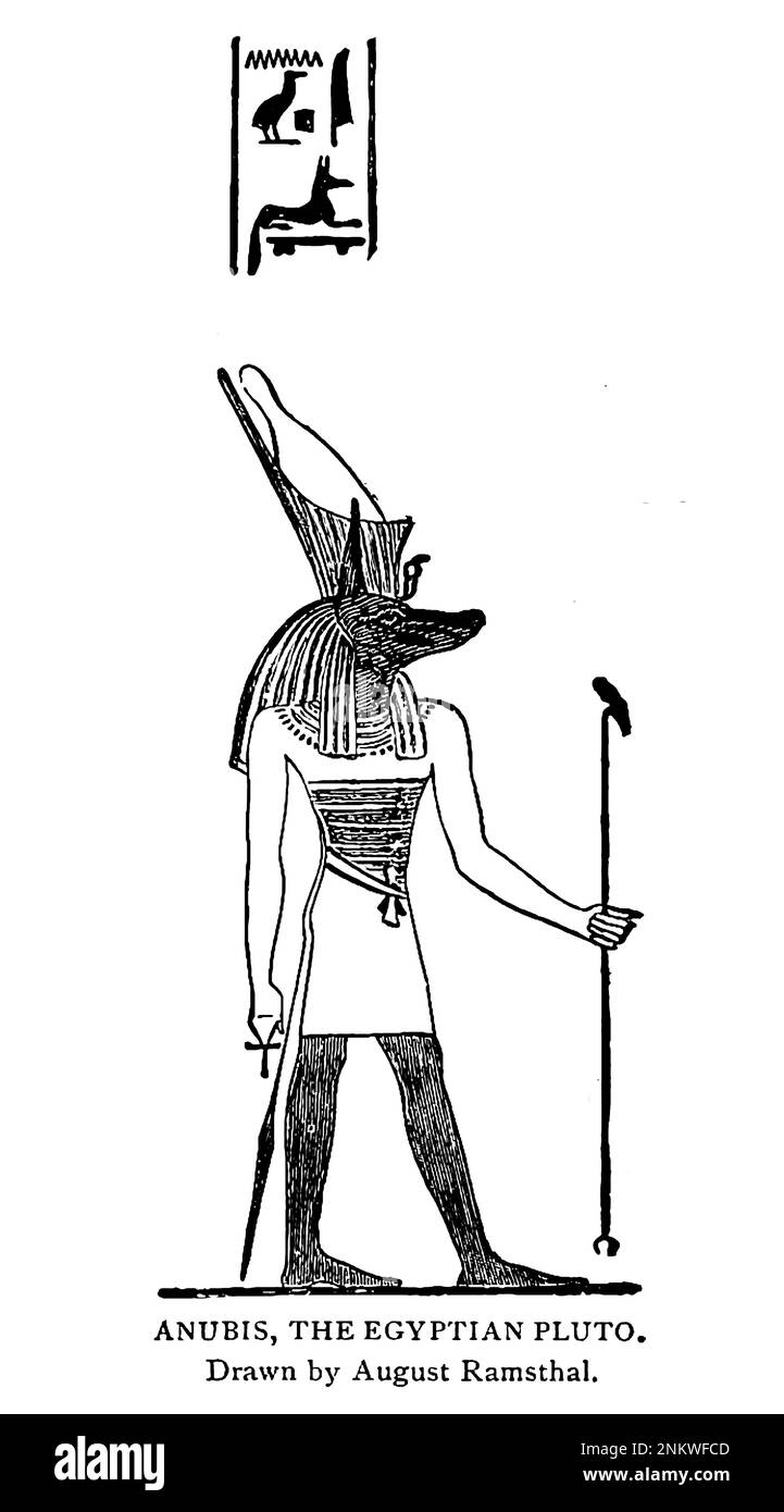 Imagenes Completas De Anubis