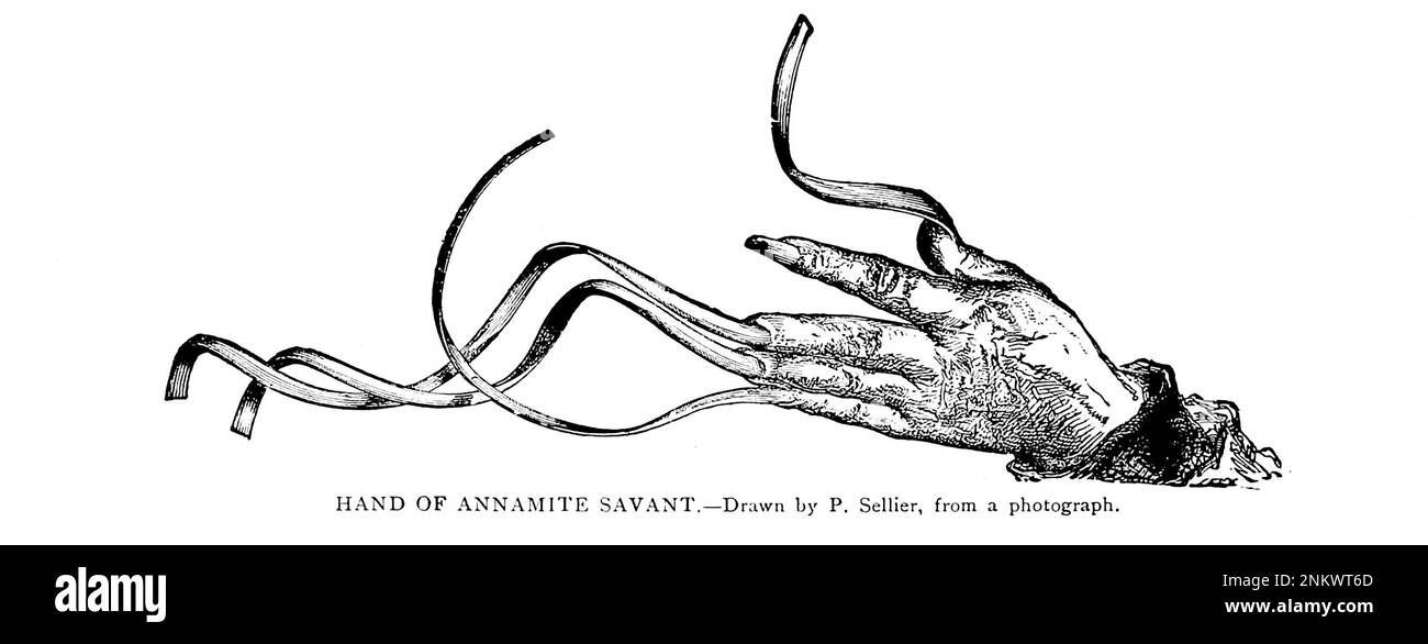 Mano de Annamita Savant Libro XX Indo-China de Cyclopedia UNIVERSAL HISTORIA : abarcando la presentación más completa y reciente del tema en dos partes principales o divisiones de más de seis mil páginas por John Clark Ridpath, 1840-1900 Fecha de publicación 1895 Editorial Boston : Balch Bros. Volumen 6 Historia del hombre y la humanidad Foto de stock