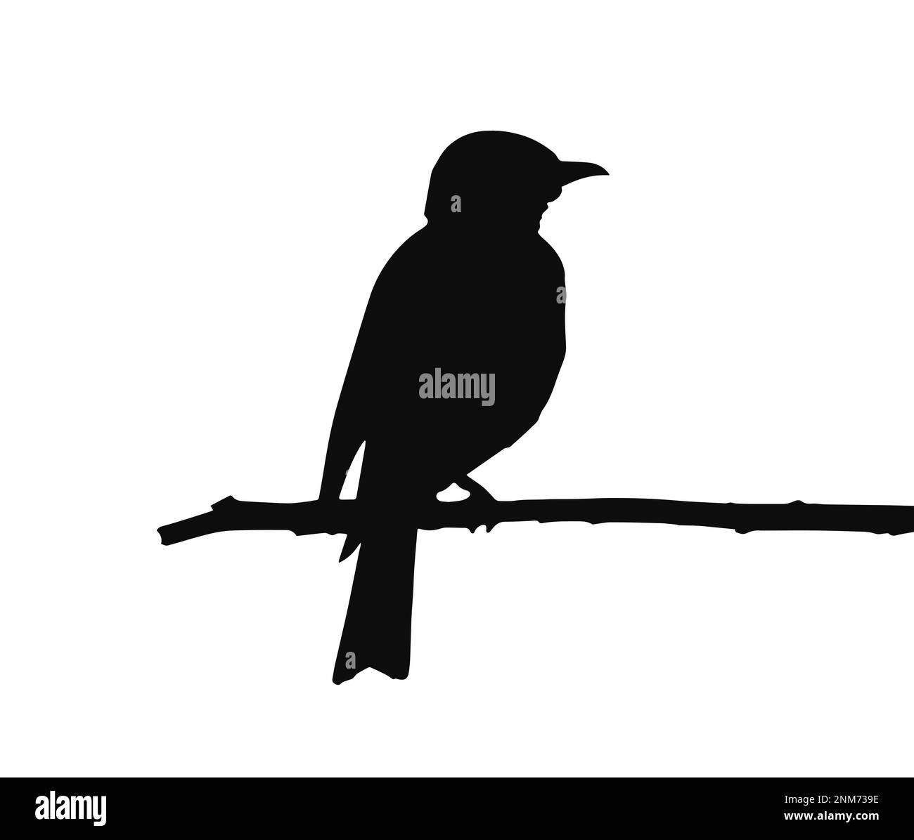pájaro de grita en rama, silueta negra Ilustración del Vector