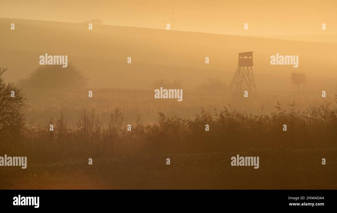 Hermosos campos de Moravia con avenidas de árboles envueltos en la niebla de la mañana. república Checa Foto de stock