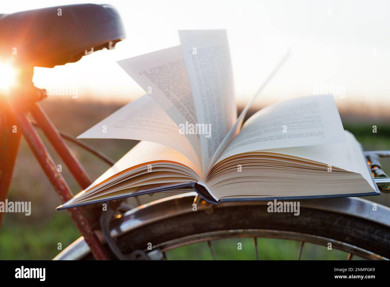 Leer un libro al aire libre para relajarse en un día soleado en la bicicleta. Foto de stock