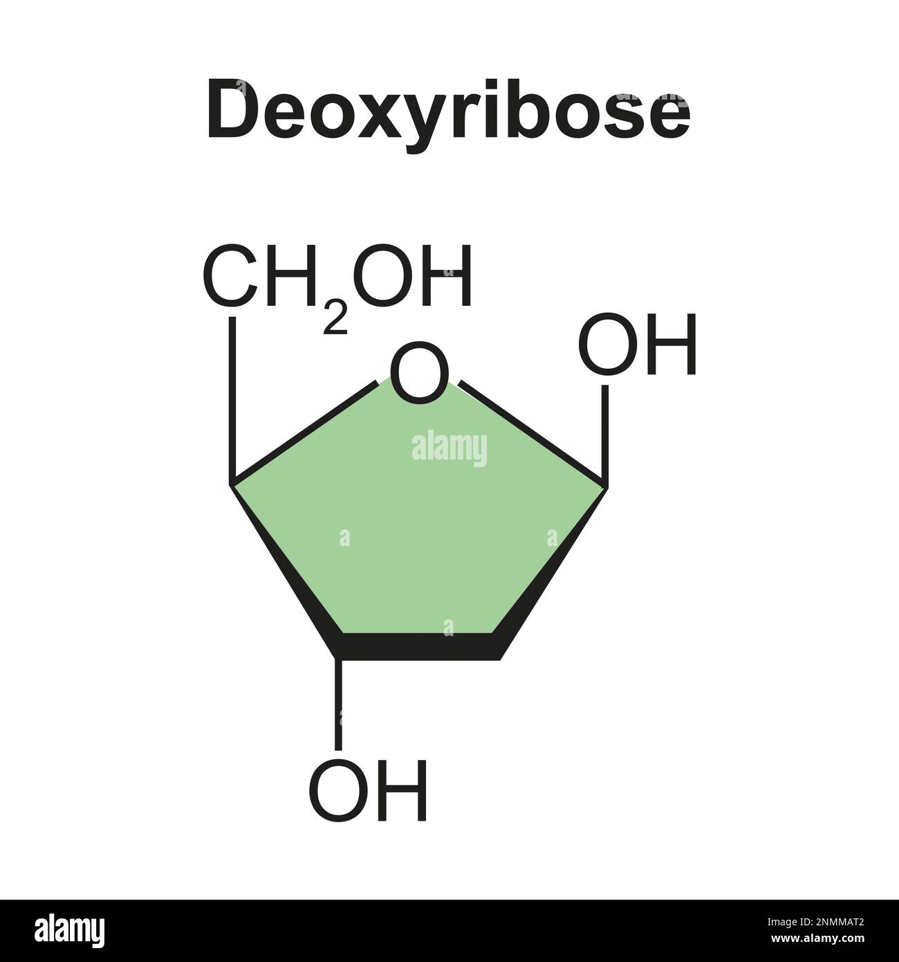Molécula de azúcar desoxirribosa, ilustración Fotografía de stock Alamy