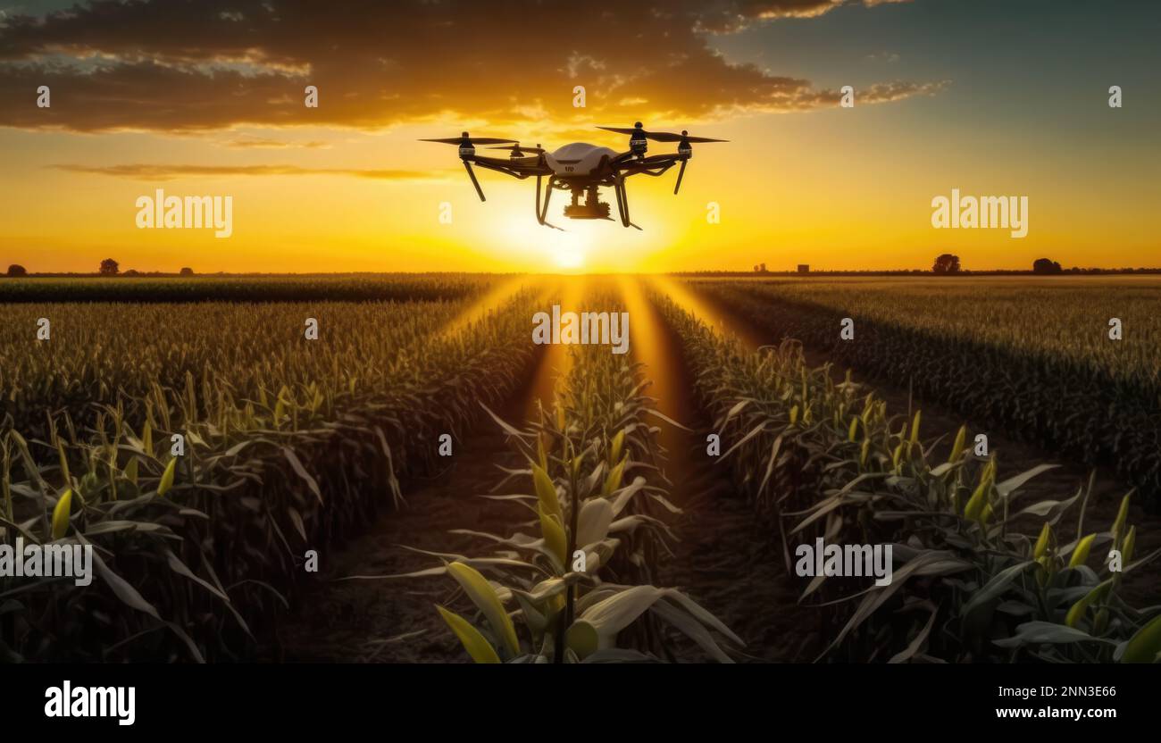 Beneficios de los drones en la agricultura: Foto de prensa que muestra el  uso de la tecnología de drones para los agricultores y las ventajas de la  industria. Generativa ai ilustración Fotografía