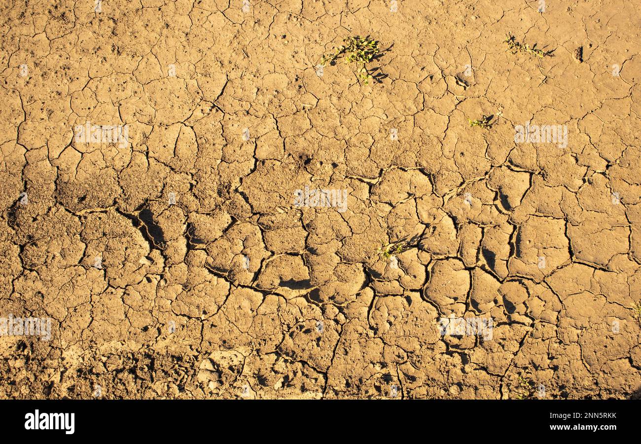 Fondo De Tierra Agrietada Seca Tierra Seca Textura De Tierra Desierto Calentamiento Global 6530