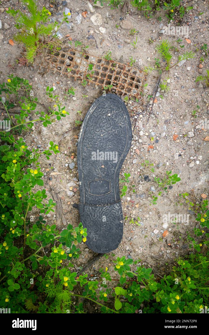 Planta de zapato negro fotografías e imágenes de alta resolución - Alamy