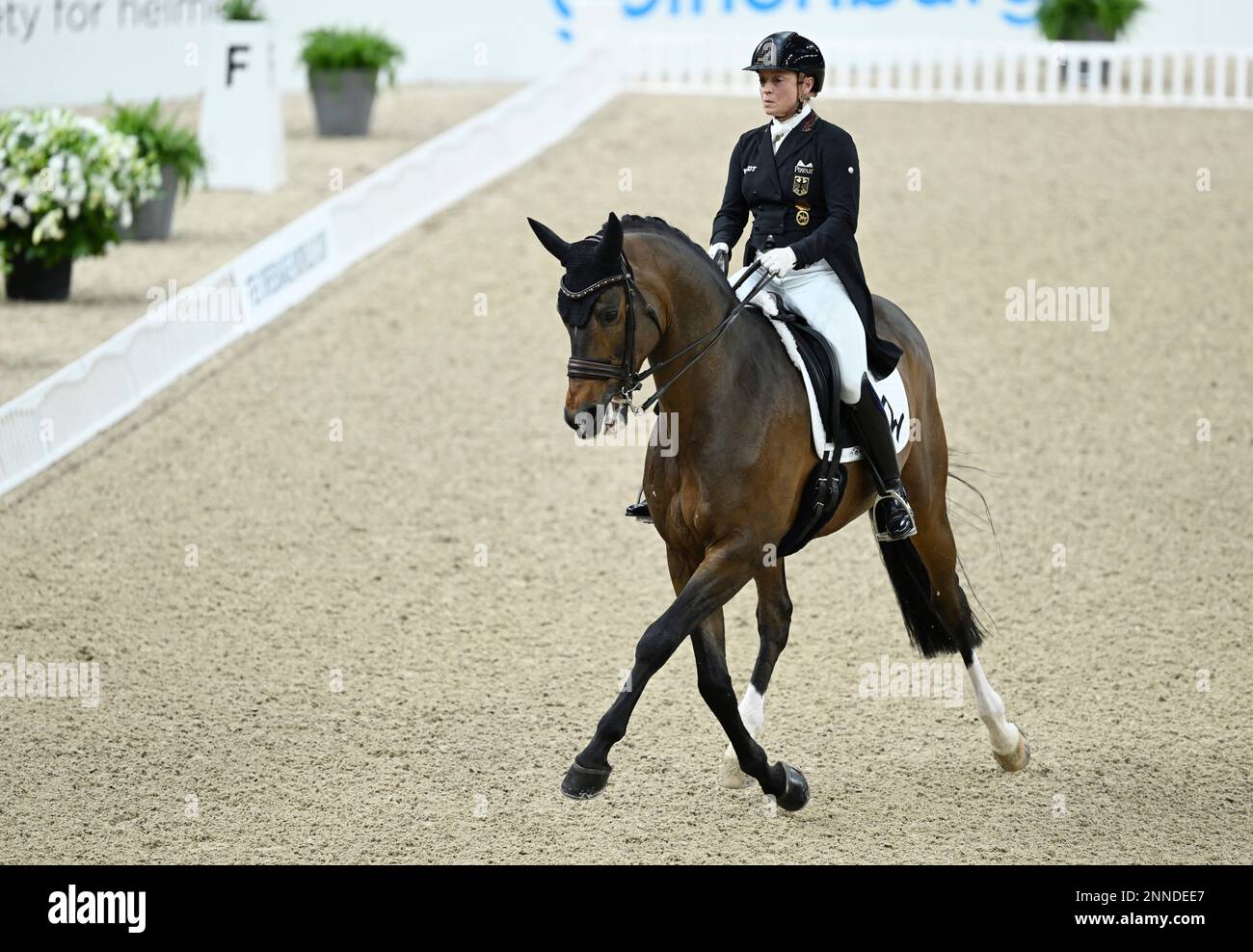 Isabell Werth of Germany riding the horse DSP Quantaz, during the World