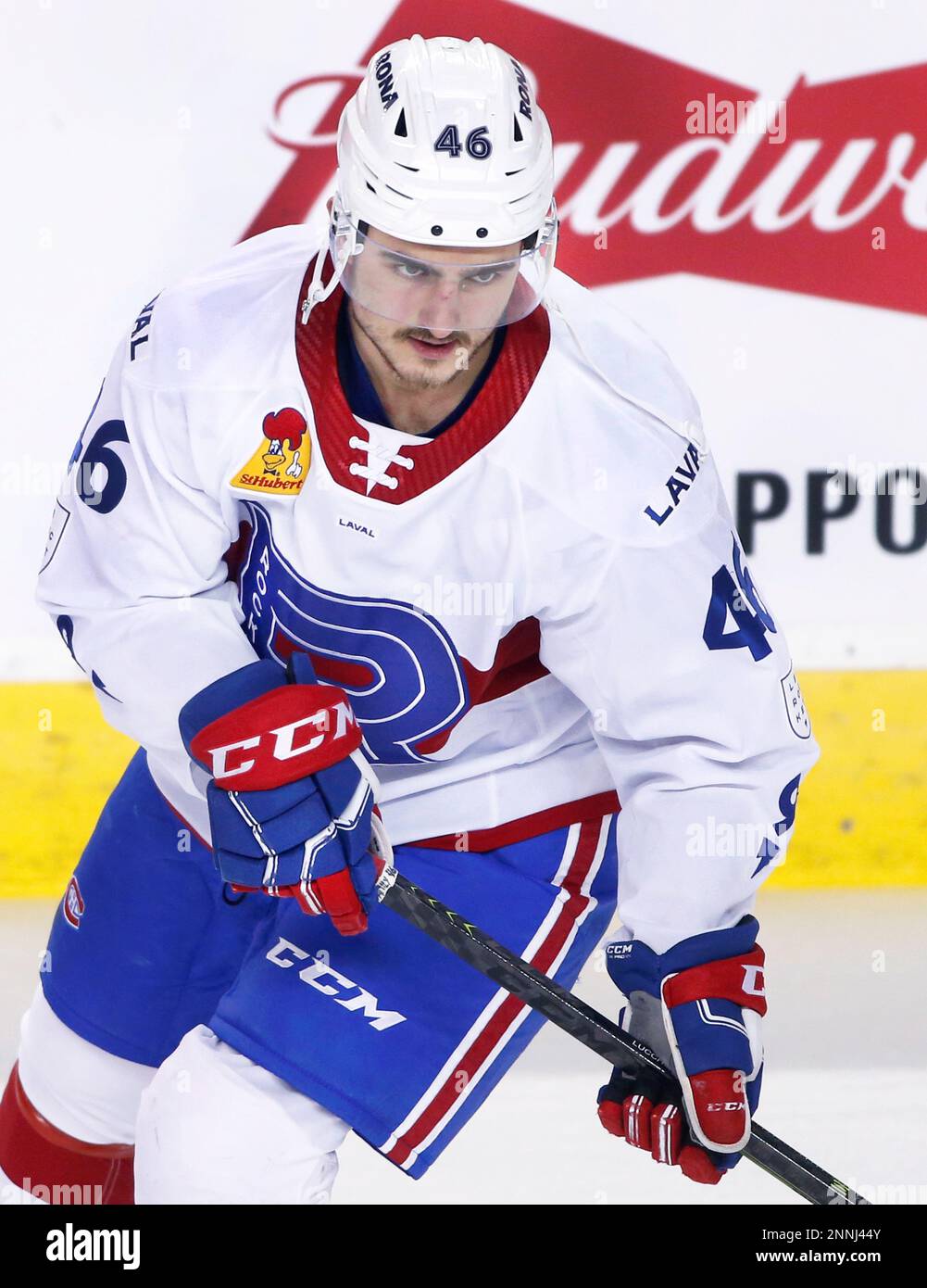 AHL (American Hockey League) profile photo on Laval Rocket player