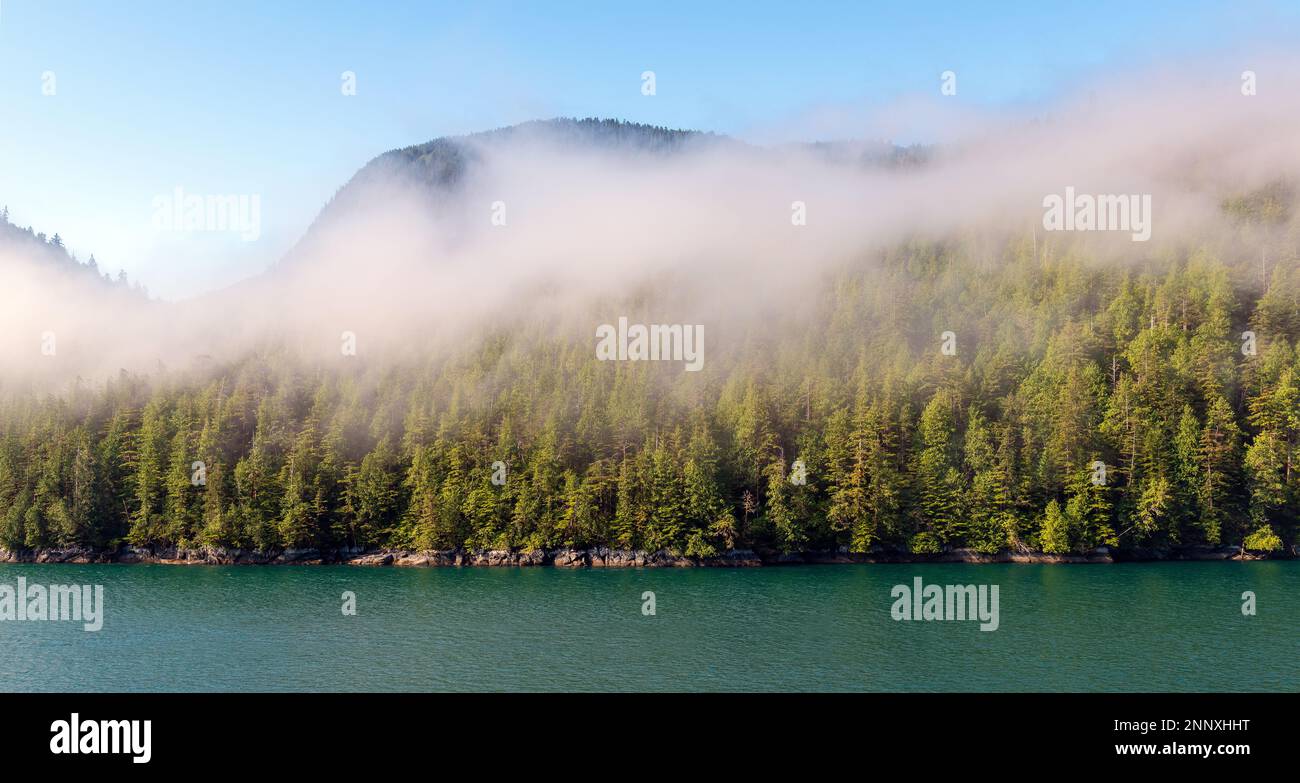 Panorama de la isla con pinos y cedros, crucero de paso interior entre Prince Rupert y Port Hardy, isla de Vancouver, Columbia Británica, Canadá Foto de stock