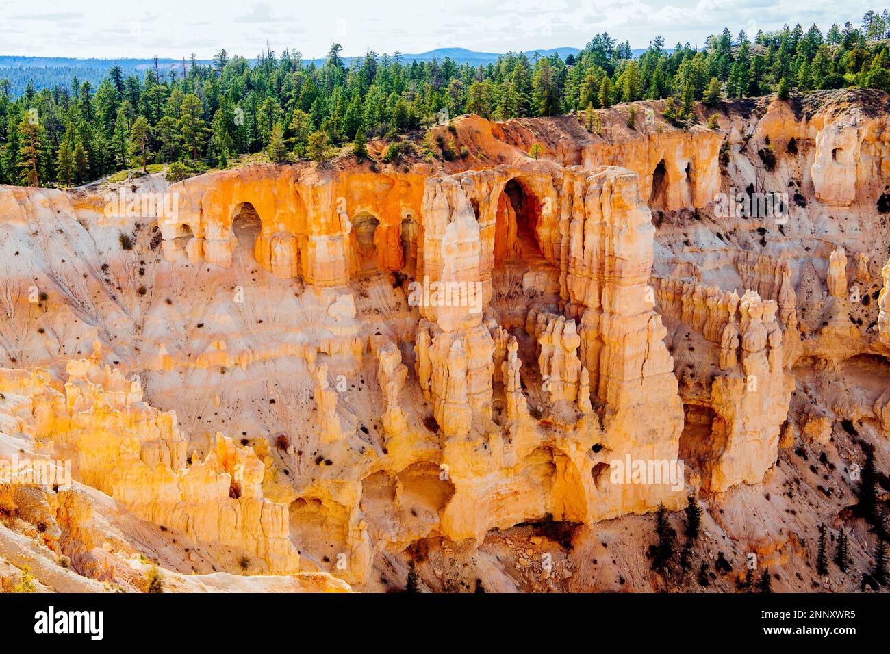 Paisaje con formaciones rocosas hoodoo, Bryce Canyon, Utah, EE.UU Foto de stock