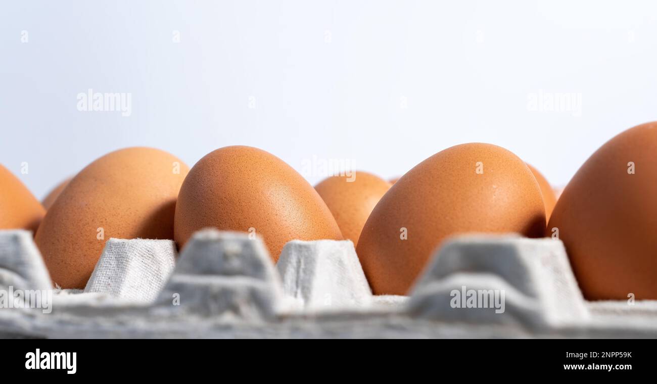 Huevos frescos en el puesto de huevos. Bandeja de huevos o panel de huevos  Fotografía de stock - Alamy