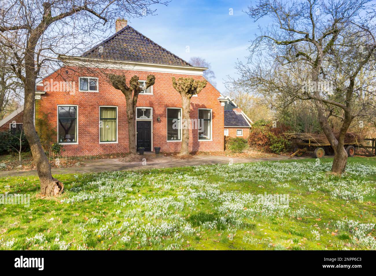 Snowdrops frente a una histórica casa de campo en Groningen, Países Bajos Foto de stock