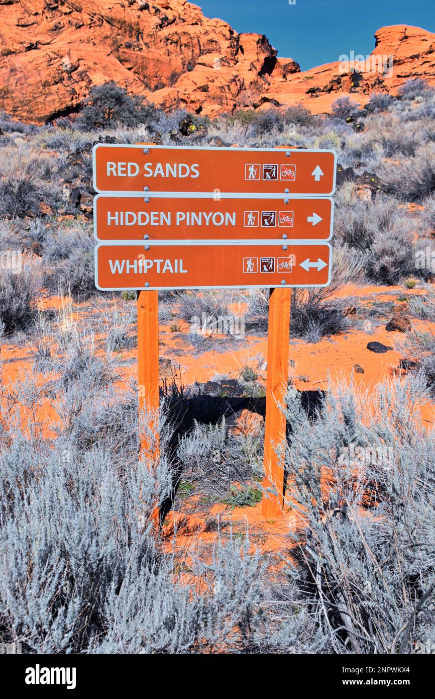 Snow Canyon State Park Red Sands ruta de senderismo Cliffs National Conservation Área Wilderness St George, Utah, Estados Unidos. Foto de stock