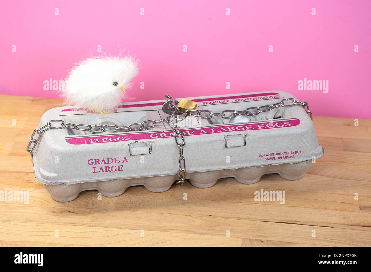 Chica bebé en cartón de huevo con candado y cadena Foto de stock