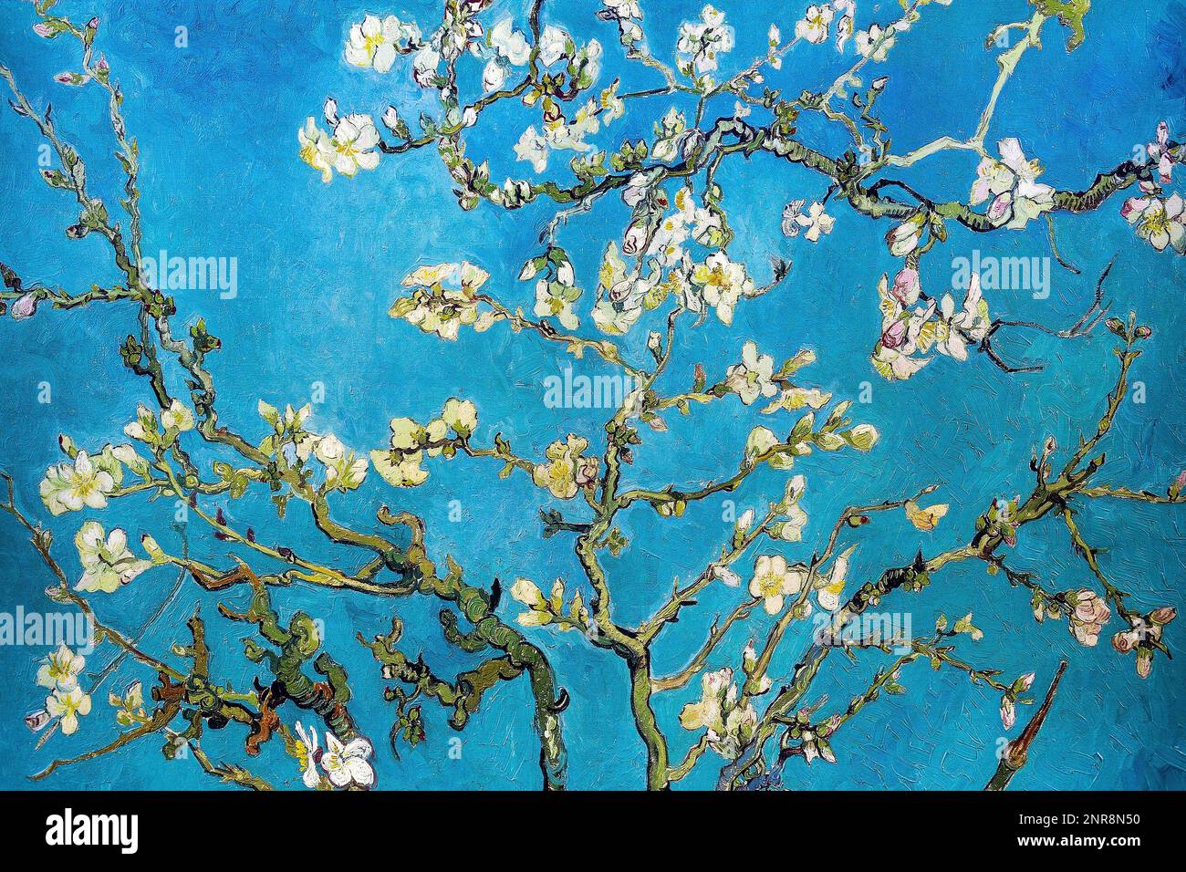 Flor de almendra, pintura de Vincent Van Gogh. Foto de stock