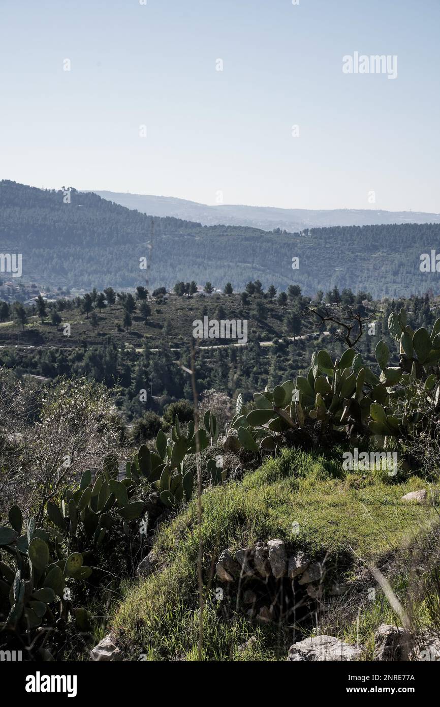 Una vista de Tel Tzuba en las colinas de Jerusalén Foto de stock
