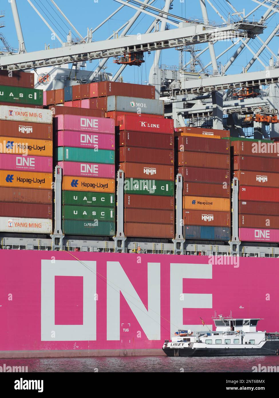 Gran buque de contenedores rosa de la red japonesa ONE Ocean Network Express con un pequeño buque de combustible junto a él en el puerto de Rotterdam, Países Bajos. Allí Foto de stock
