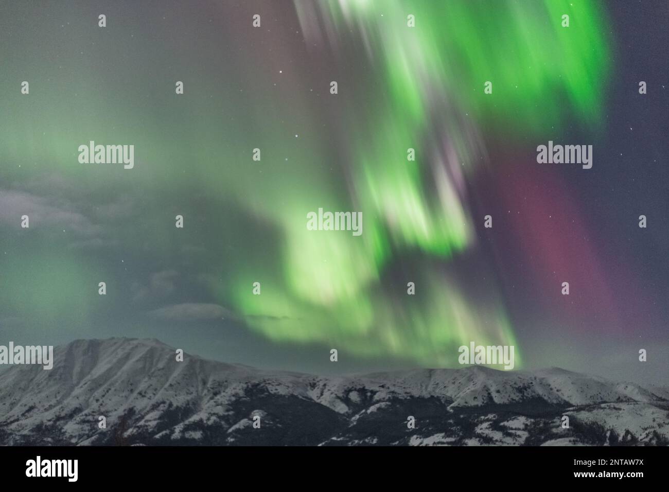 Aurora Boreal se ve en el norte de Canadá durante el invierno con montañas  cubiertas de nieve fuera de Whitehorse, Yukon Territory Fotografía de stock  - Alamy