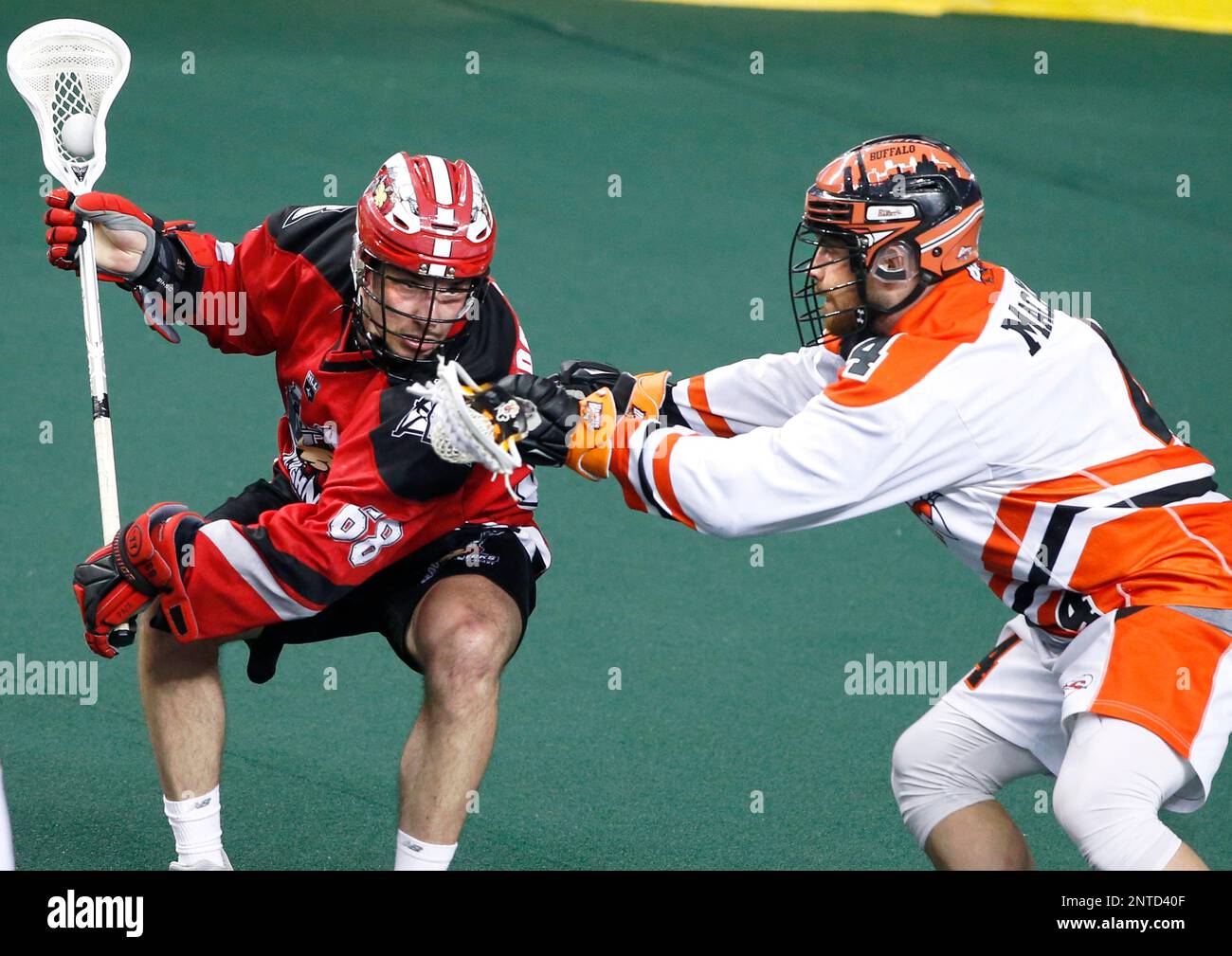 NLL (National Lacross League) profile photo on Calgary Roughnecks