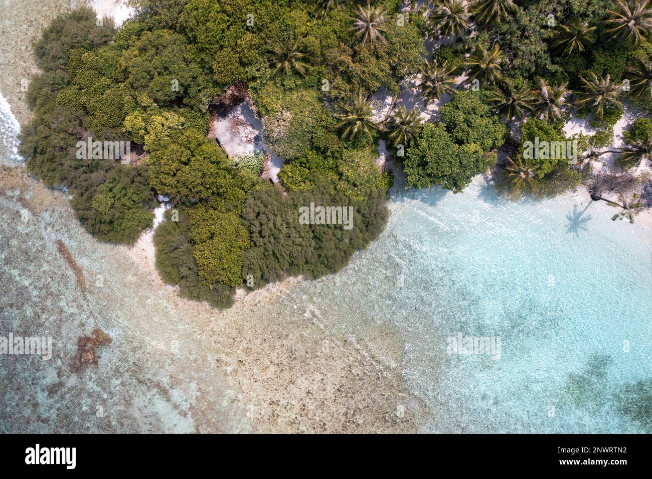 Vista aérea: Isla Solitaria con un banco de arena y palmeras en las Maldivas, Atolón Malé Norte, Maldivas, Asia Foto de stock