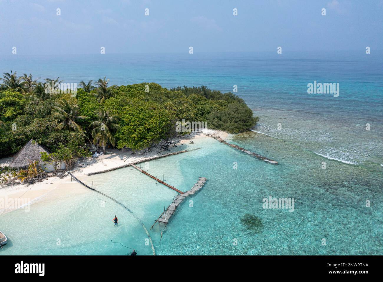 Vista aérea: Isla Solitaria con un banco de arena y palmeras en las Maldivas, Atolón Malé Norte, Maldivas, Asia Foto de stock