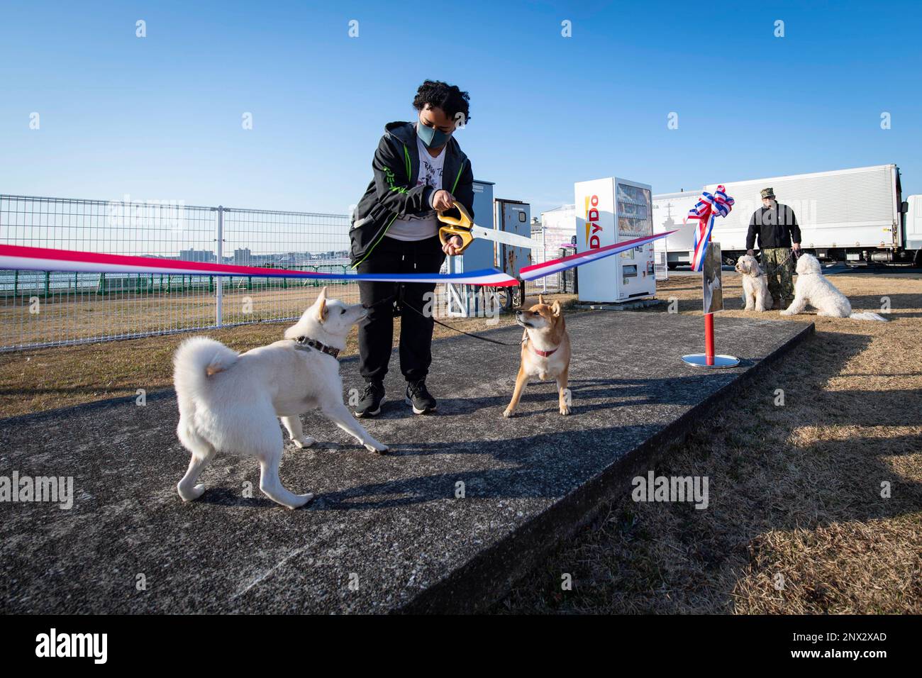 cómo se inicia un parque comunitario para perros