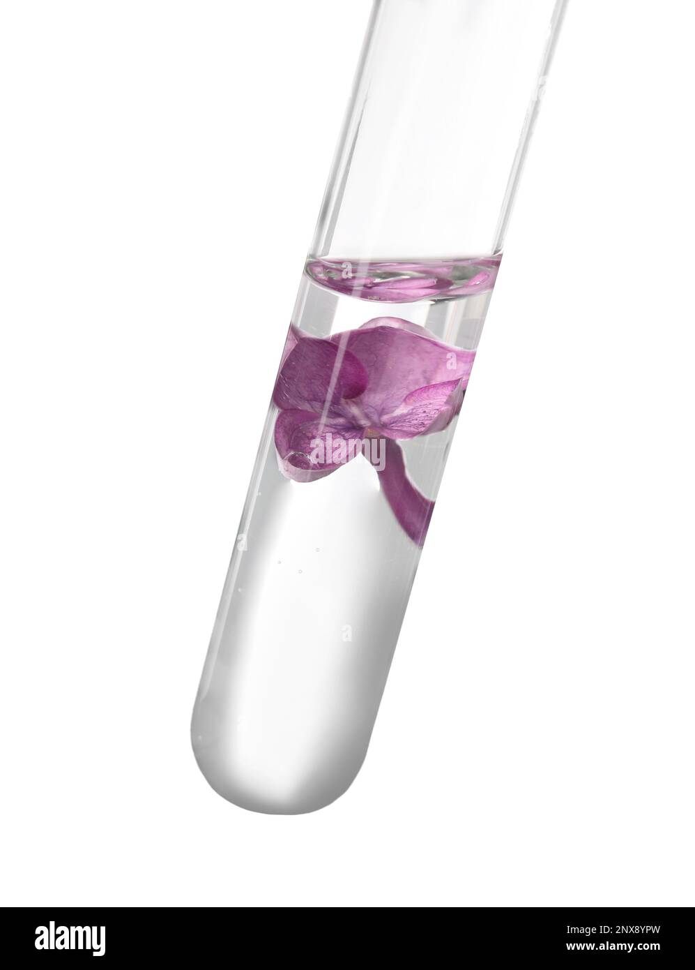 Dos tubos de ensayo de vidrio con una gota de agua de pipeta limpia y  blanca sobre fondo de laboratorio de ciencias de biotecnología Fotografía de  stock - Alamy