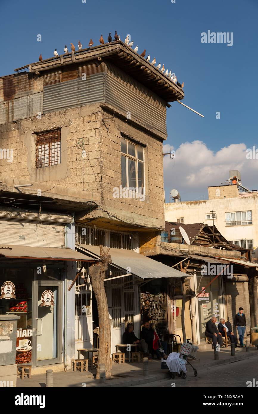 Una vista desde el antiguo bazar en Kilis, Turquía. Palomas encaramadas en el techo de un edificio. Foto de stock