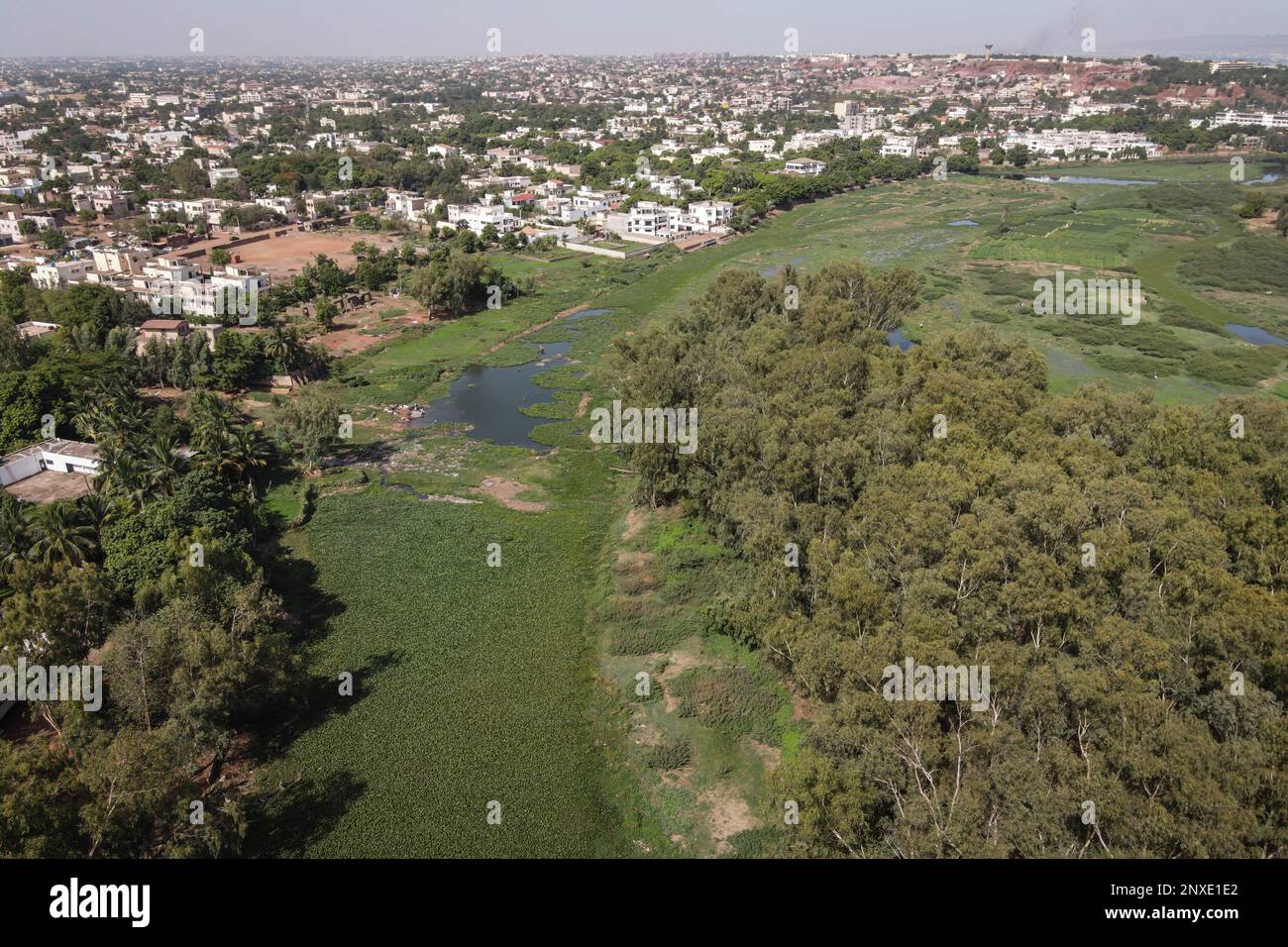 Nicolas Remene / Le Pictorium Pesca y asfixia del río Níger en Bamako