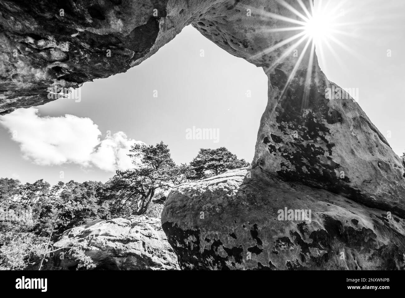 Vista del fondo del arco de piedra arenisca único en el bosque de pinos en el día de verano soleado y seco. Bohemian Paradise, República Checa. Imagen en blanco y negro. Foto de stock