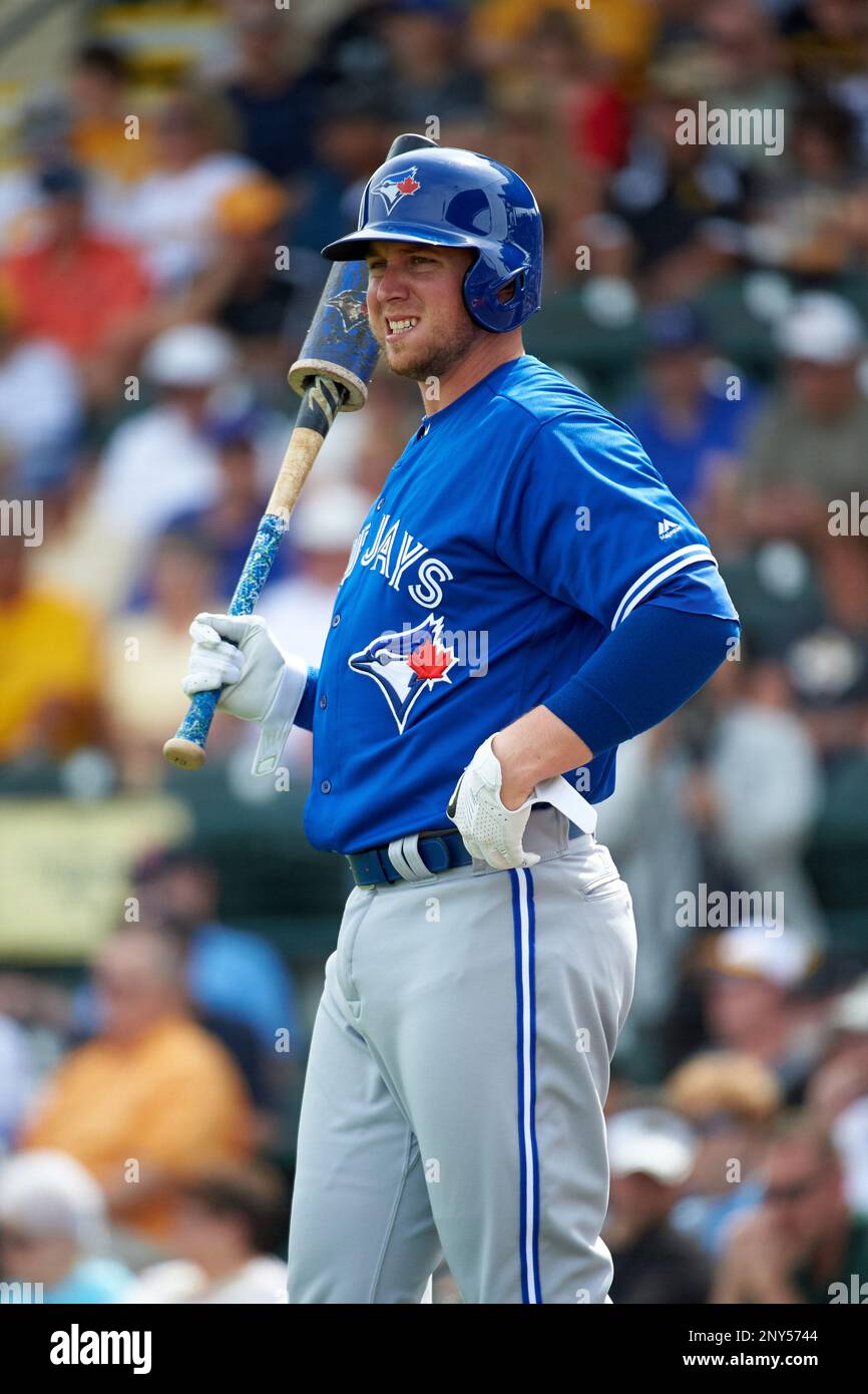 Toronto Blue Jays designated hitter Justin Smoak (14) at bat during a