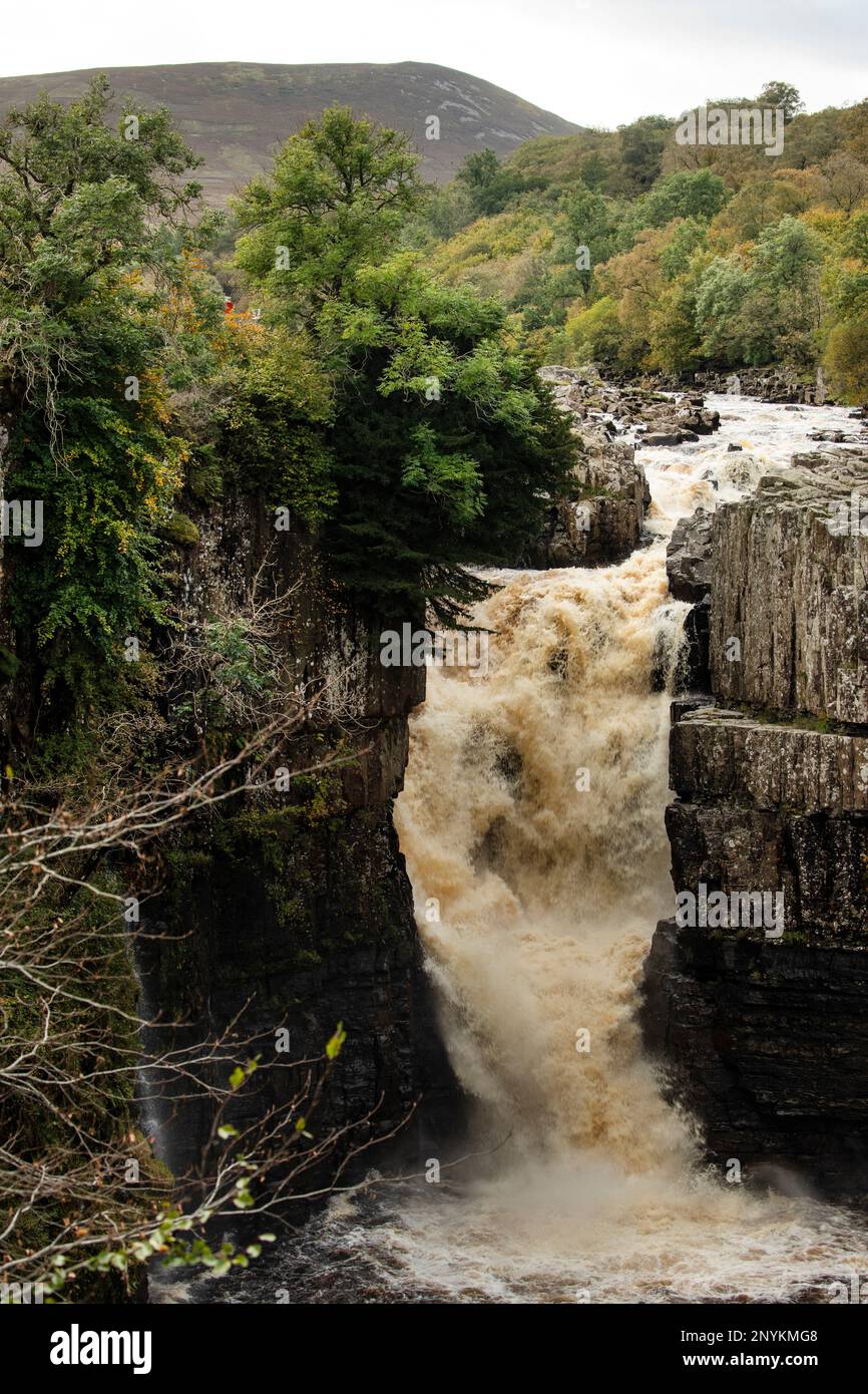 Cascada de alta fuerza en el río Tees, imágenes tomadas desde la orilla izquierda, Pennine Way lado de la cascada. Teesdale, Condado de Durham Foto de stock