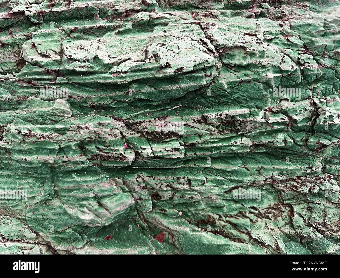 Imagen de textura de la superficie de piedra mineral de serpierita verde. Fondos abstractos de la naturaleza Foto de stock