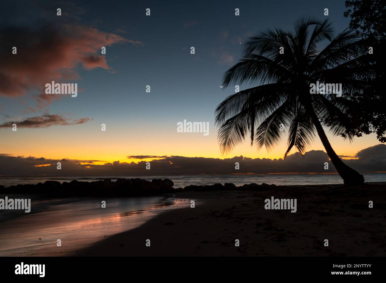 Puesta de sol pintoresca en una playa tropical en Barbados con silueta de palmera y luna en el cielo. Foto de stock