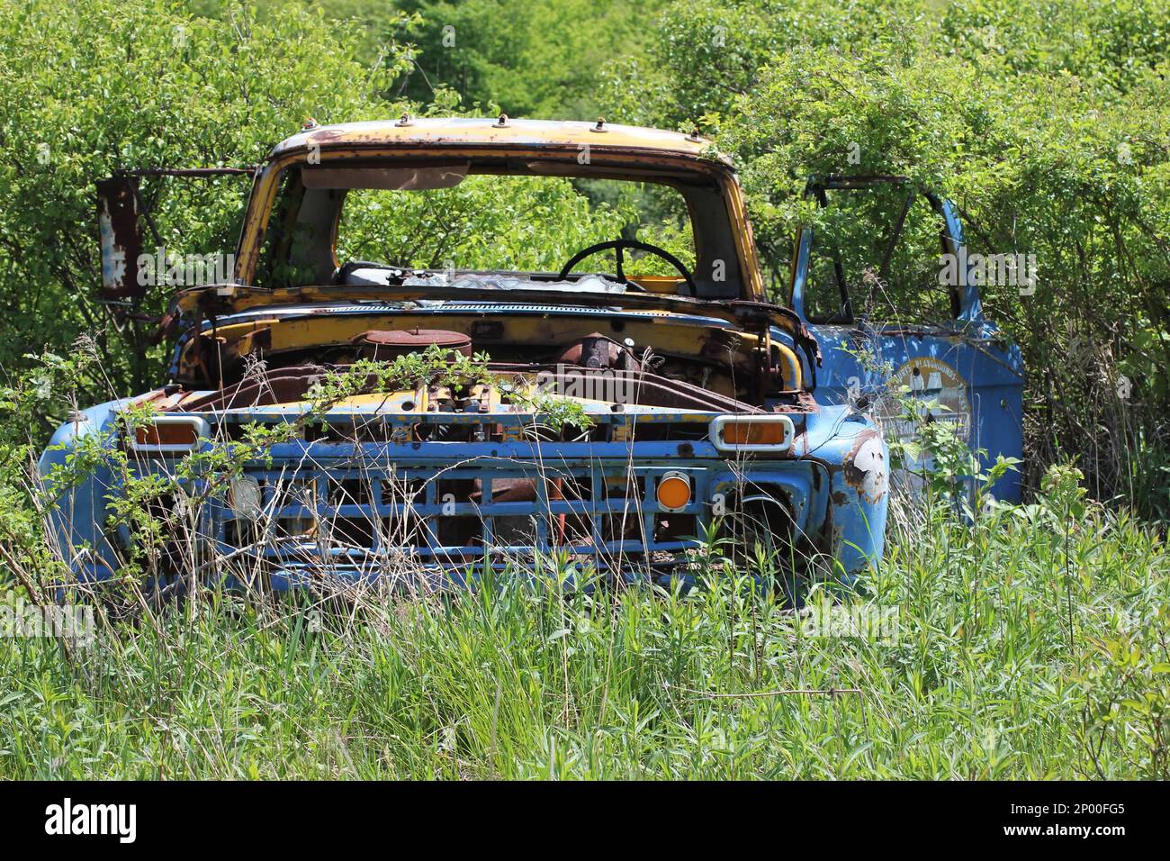 Un viejo camión azul hecho en Estados Unidos clásico se sienta oxidado en el bosque Foto de stock