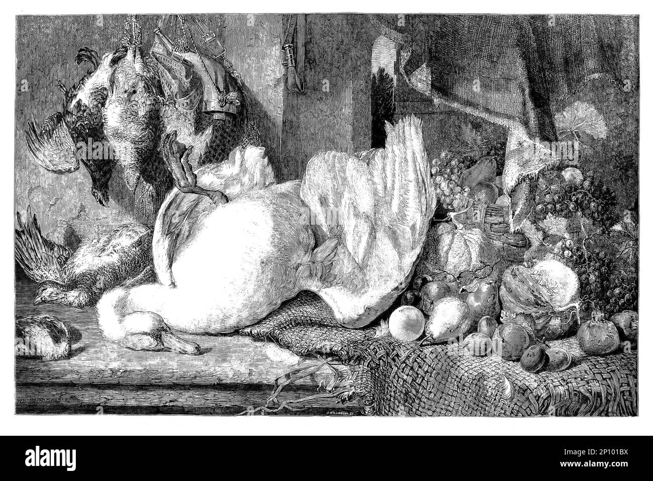 Una bodegón de cisne muerto, aves de caza y frutas exhibidas en la institución británica por el artista británico William Duffield (1816-1863) que se especializó en la pintura de frutas, verduras, carne y caza muerta. Foto de stock