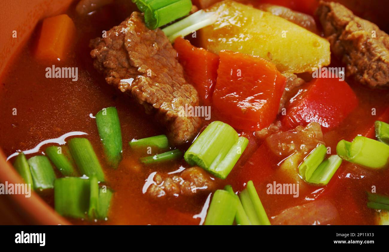 Mastoba Sopa tayika tradicional que consiste en carne, arroz y verduras. Foto de stock