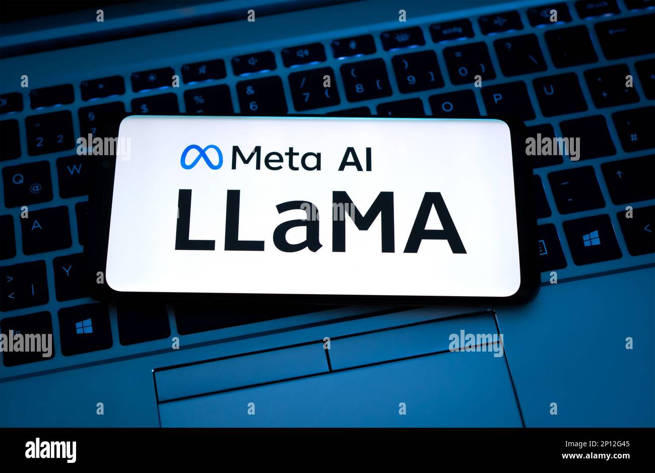 Llama - Meta plataformas AI inteligencia artificial chatbot Foto de stock