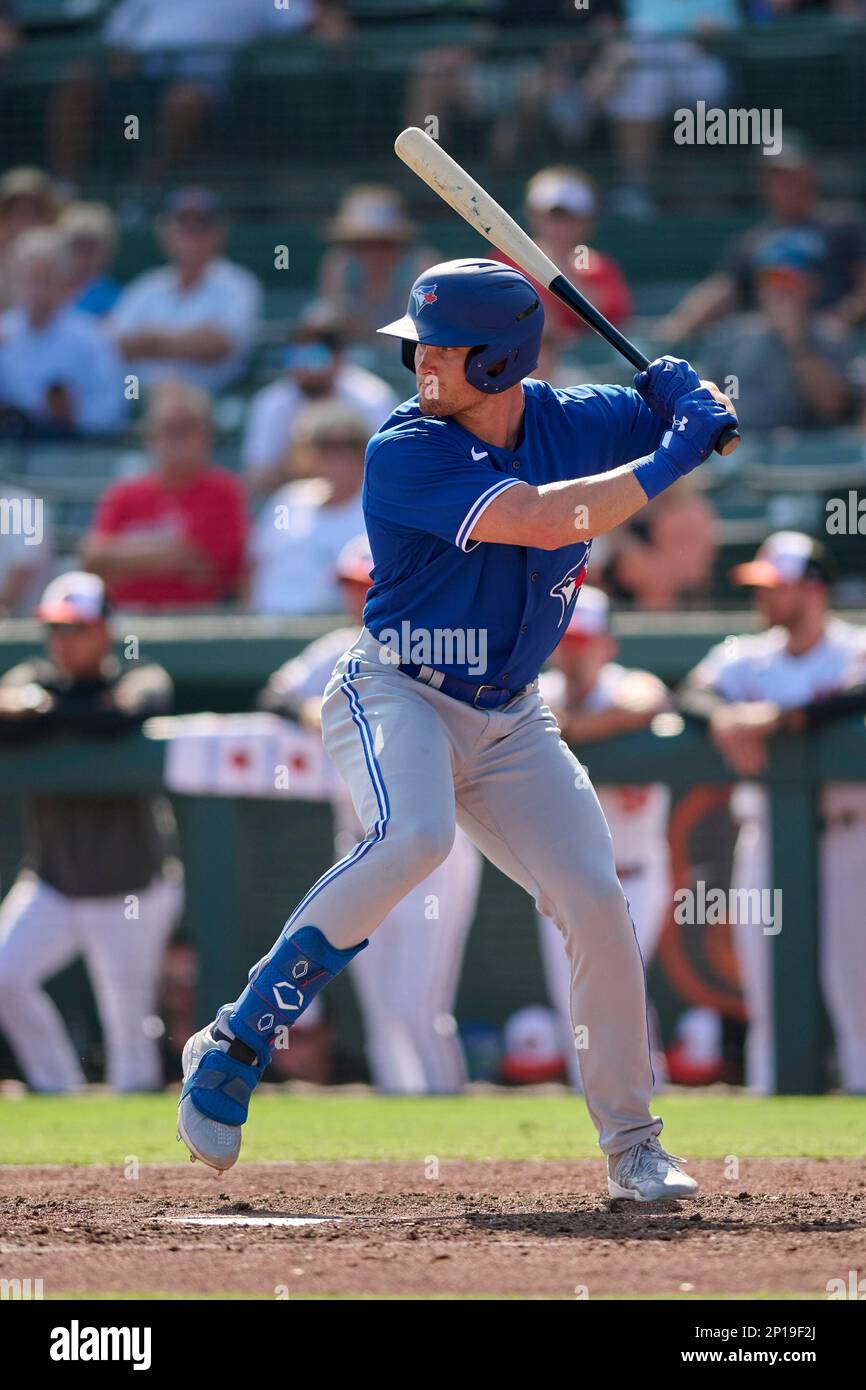 Toronto Blue Jays Will Robertson (82) bats during a spring training