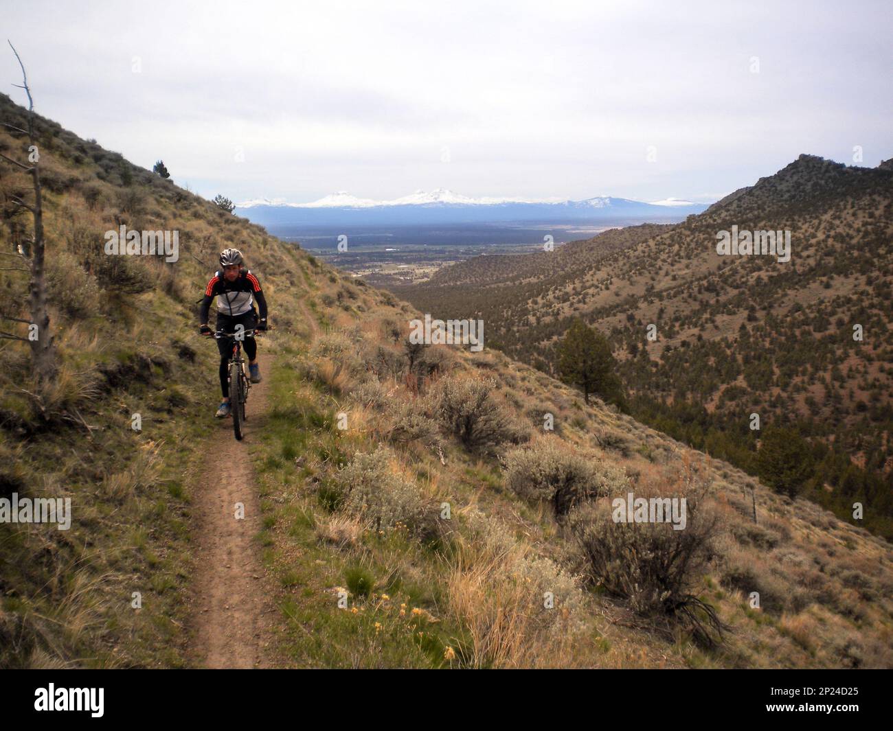 ADVANCE FOR MONDAY, NOV. 16 FILE In this April 11, 2013, file photo