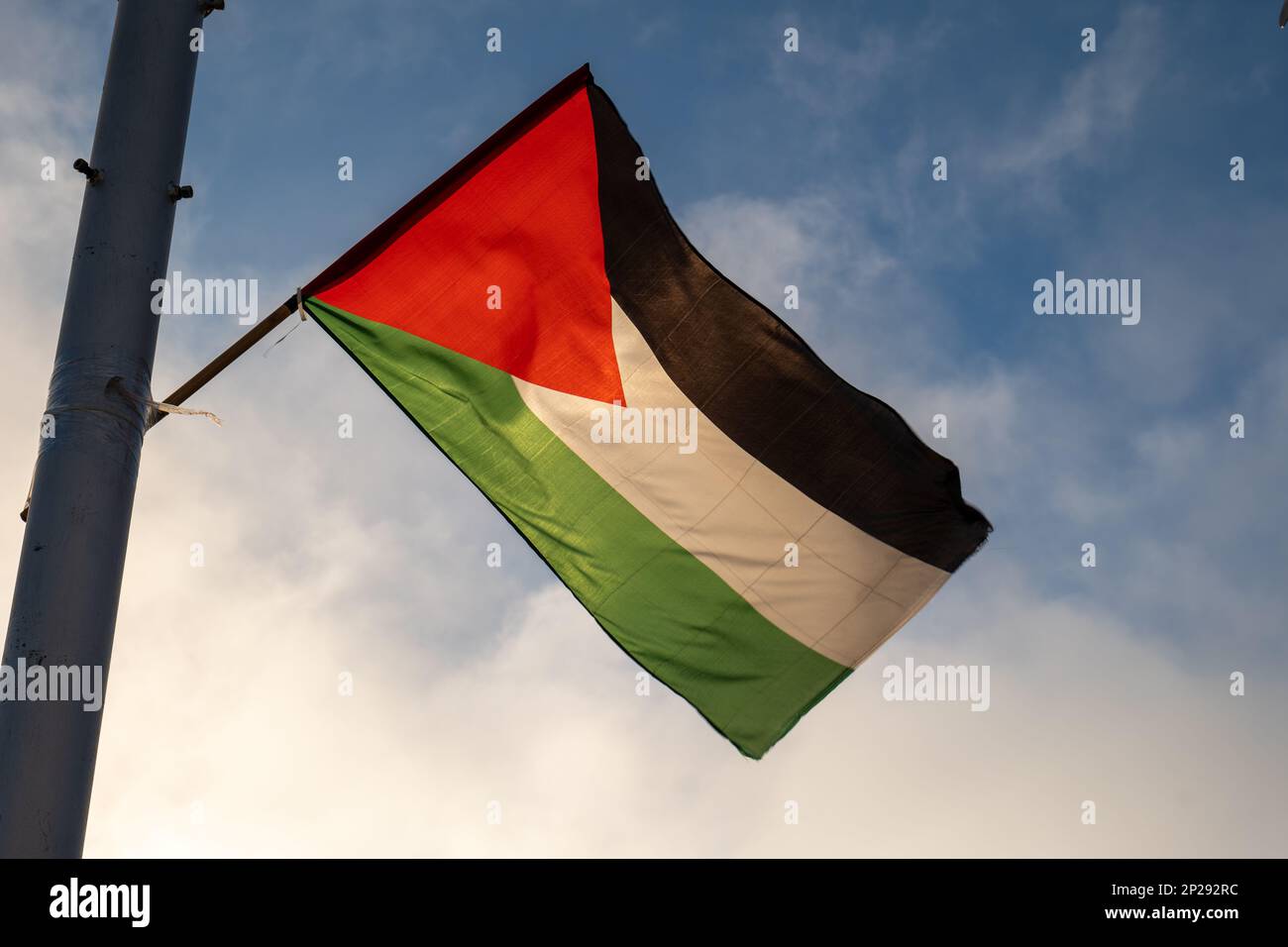 bandera palestina 8, La Estrella Palestina