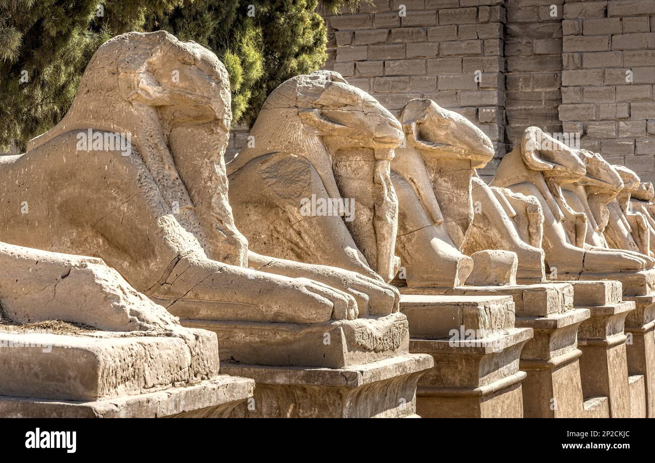 Avenida de los carneros frente al templo de Karnak, Luxor Egipto Foto de stock