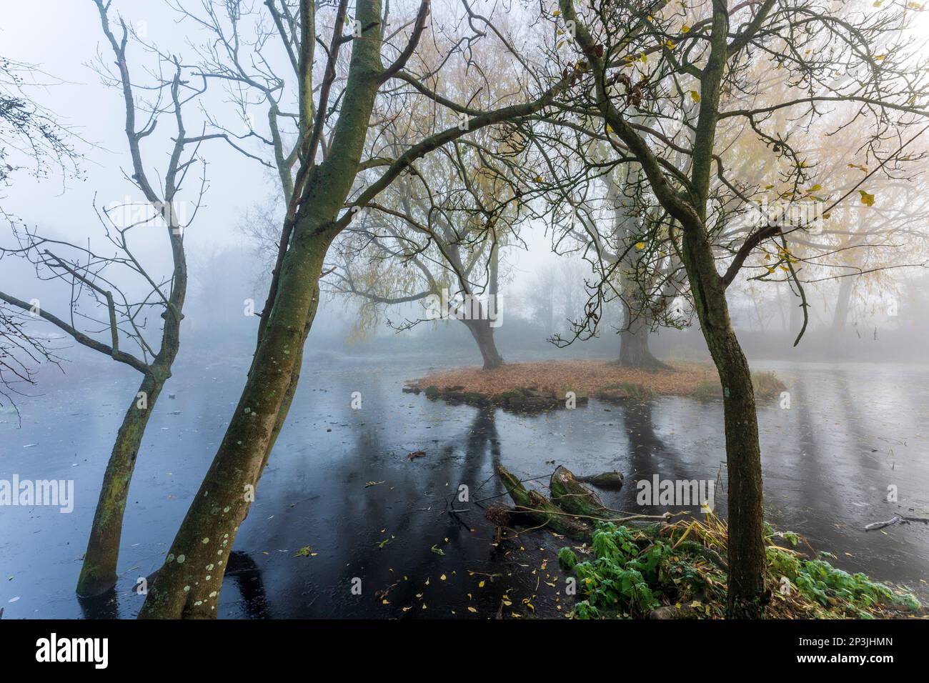 Escena de la mañana brumosa del invierno, estanque congelado con dos árboles en primer plano, y una pequeña isla con dos sauces que crecen, el fondo se desvanece en la niebla. Foto de stock