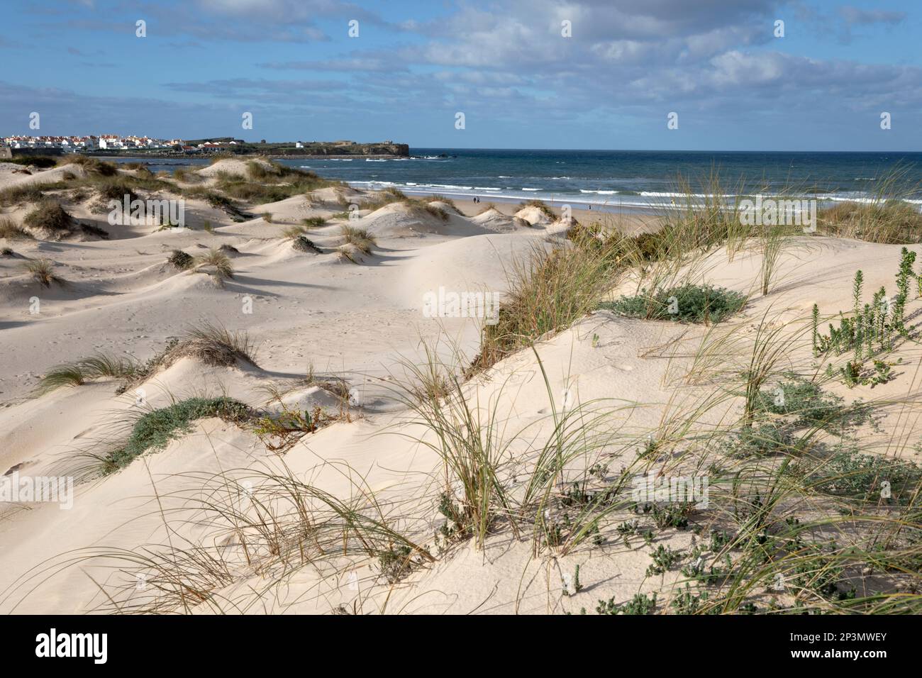 Dunas de arena detrás de Praia da Cova da Alfarroba playa, Peniche, Región Central, Portugal, Europa Foto de stock
