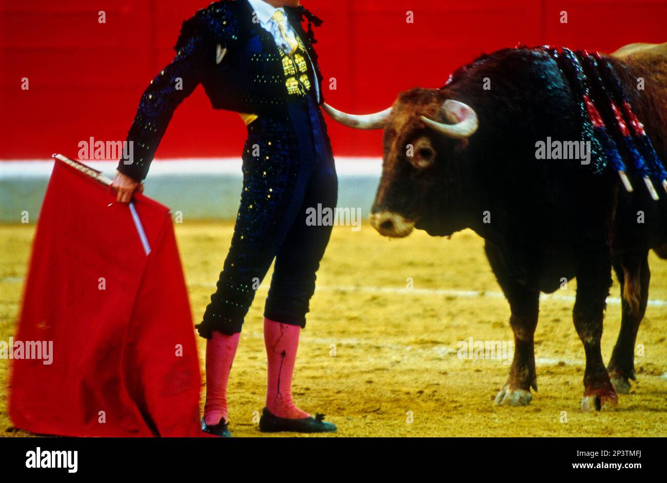 Torero poniendo un par de banderillas al toro. Stock Photo