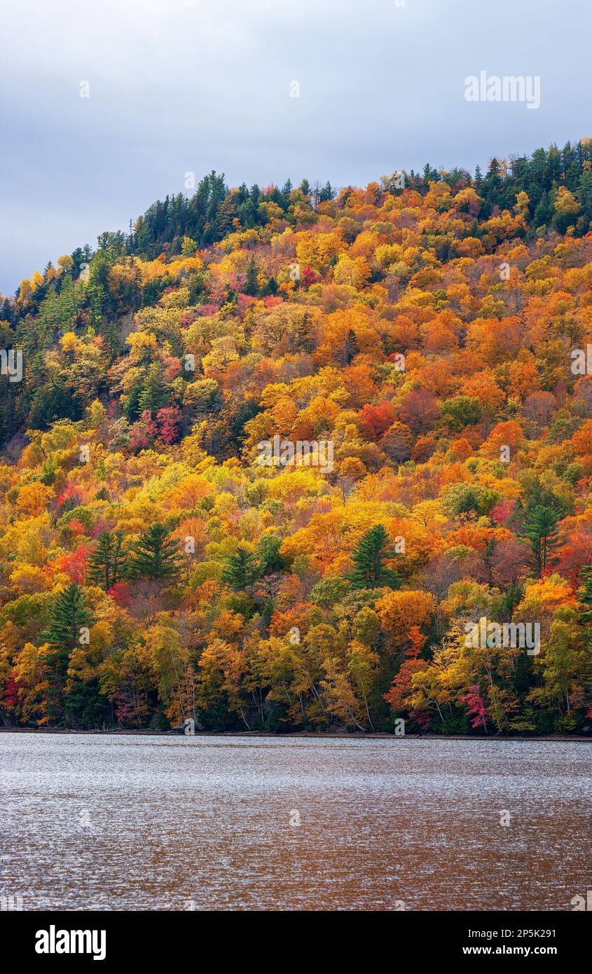 Follaje de pico de otoño en Nueva Inglaterra. Escena del lago de otoño con un follaje vibrante reflejado en las brillantes aguas del lago Wyman, en el río Kennebec, Maine. Foto de stock