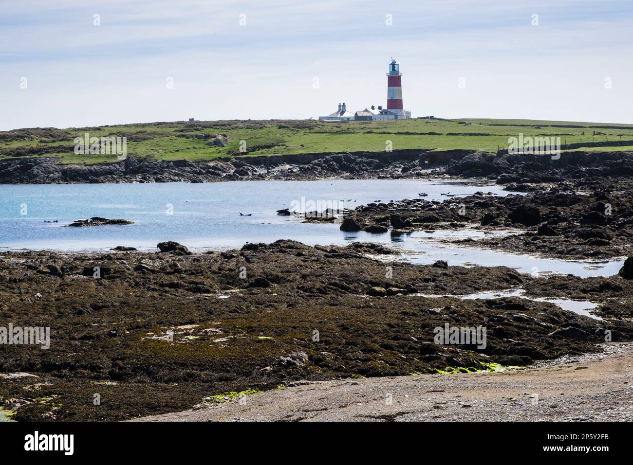 Vista a través de la bahía al faro con focas grises disfrutando de las rocas. Ynys Enlli o Bardsey Island, Península de Llyn, Gwynedd, norte de Gales, Reino Unido, Gran Bretaña Foto de stock